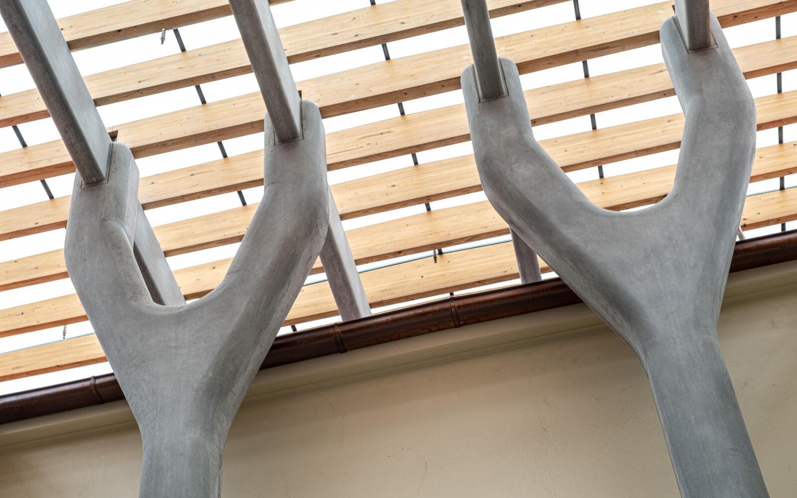 BONDI PAVILION by Evolution Precast Systems Precast Concrete Sydney