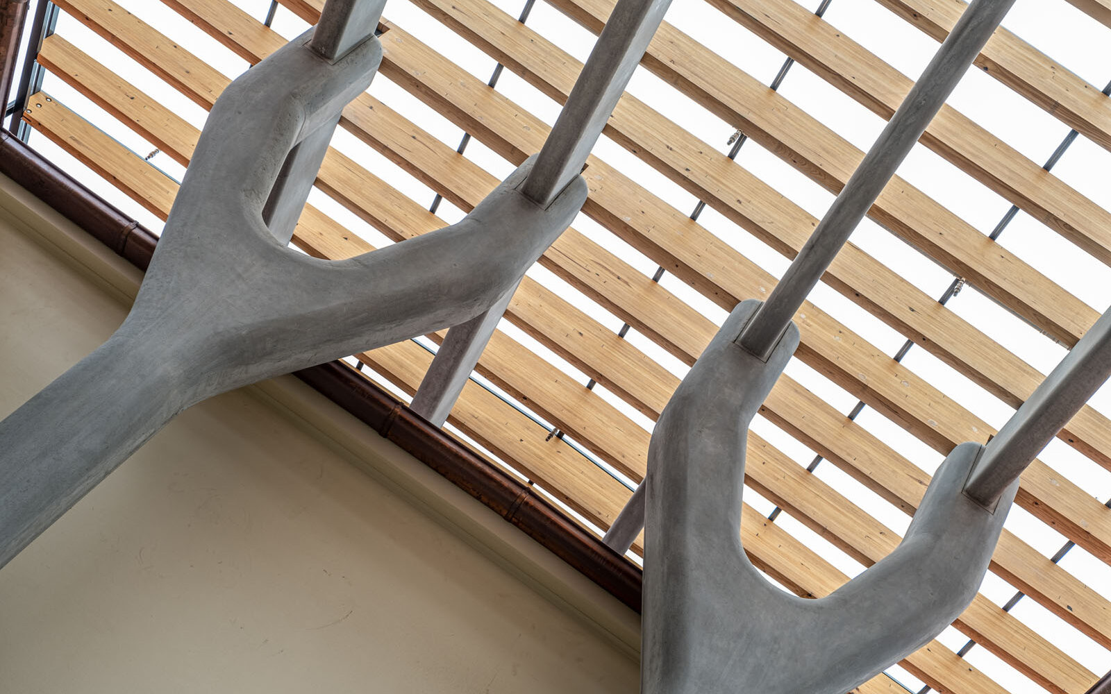 BONDI PAVILION by Evolution Precast Systems Precast Concrete Sydney